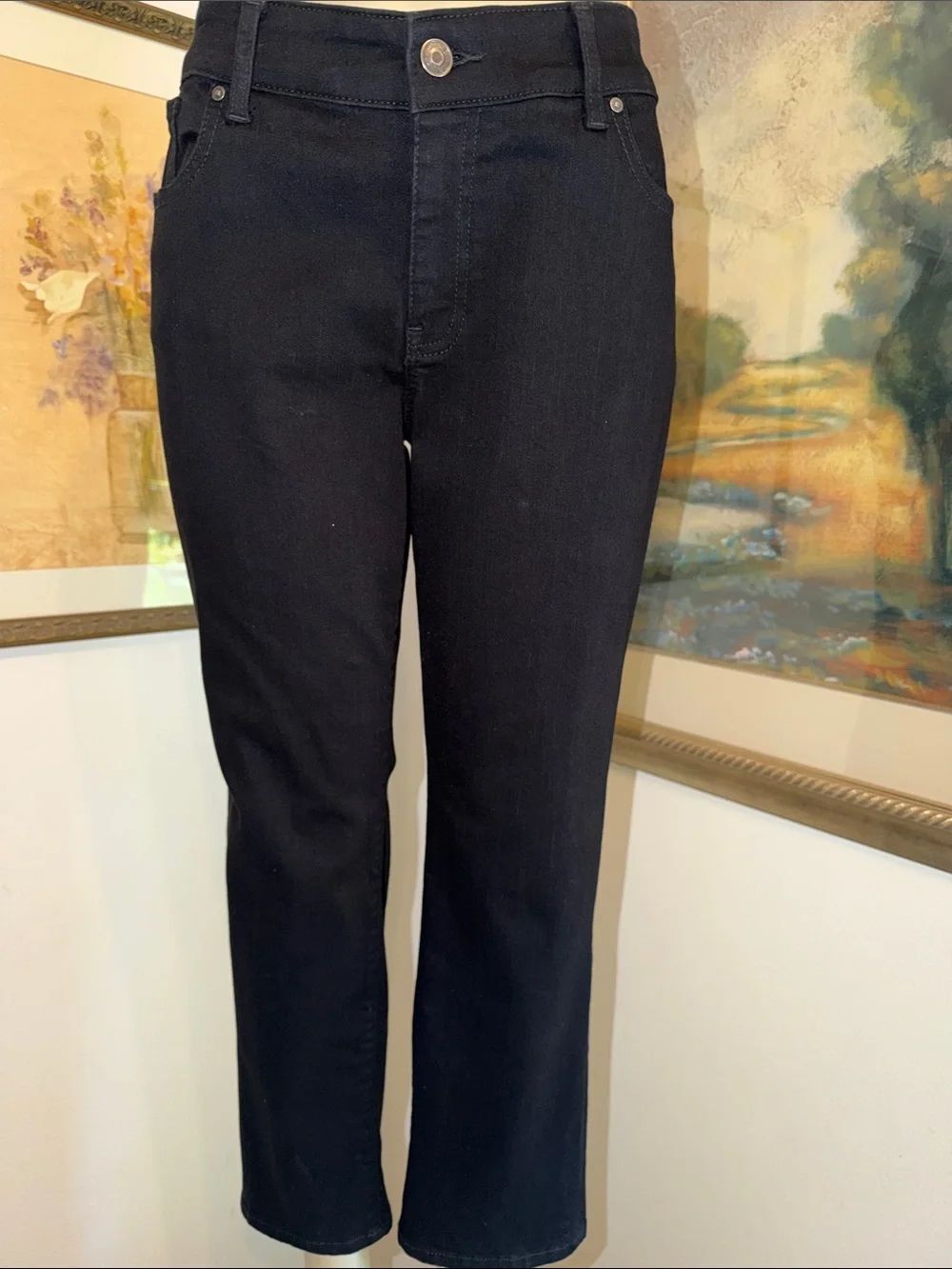 Chico’s Black Straight-Leg Jeans Size 2 SHORT